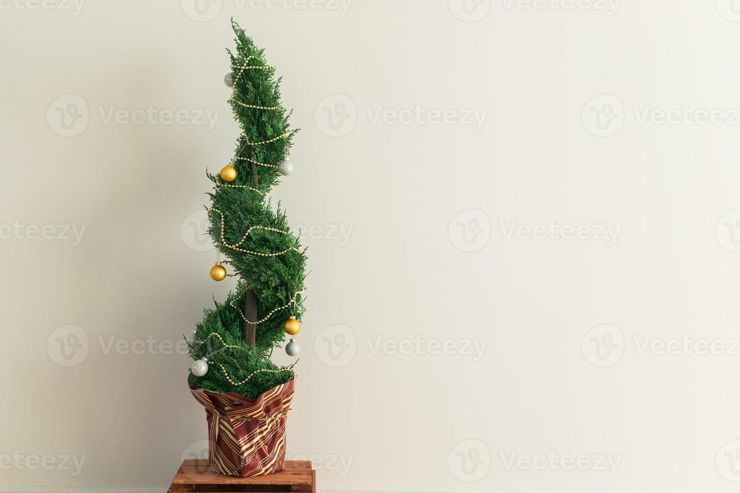 Indoor cypress or thuja in pot is decorating balls like Christmas tree. Alternative trees for christmas . Copy space and space for advertising photo