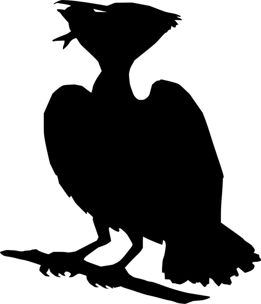 Vector silhouette of Bird on white background