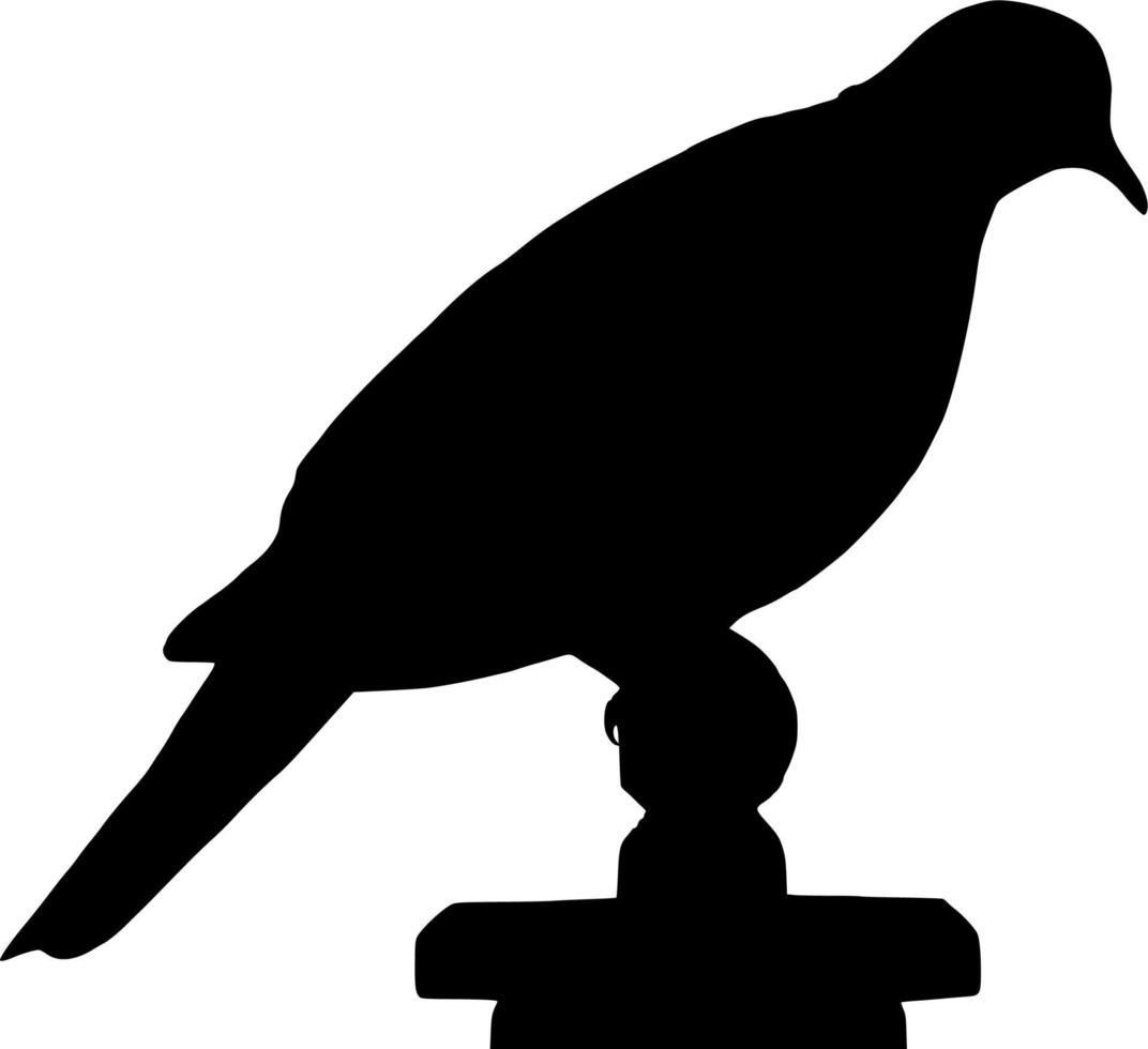 Vector silhouette of Dove Bird on white background