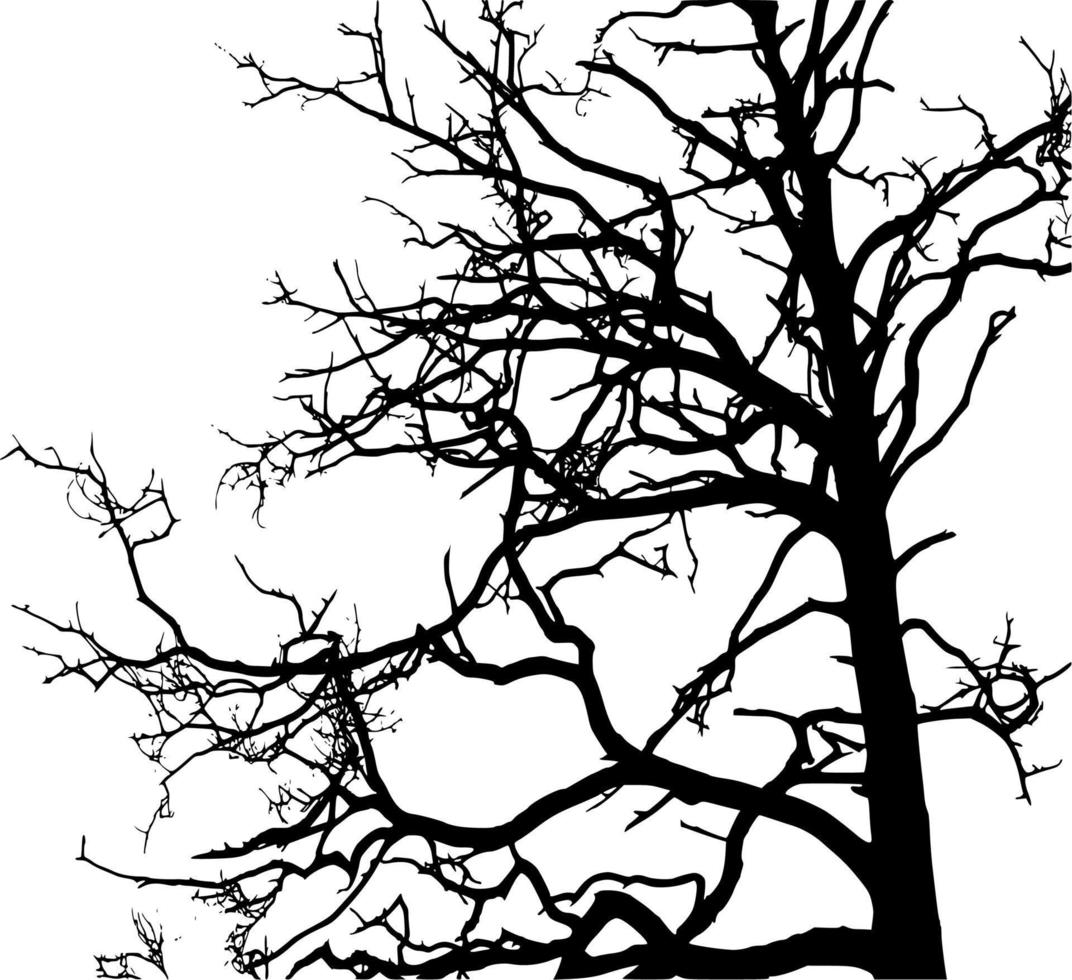 vector silueta de árbol en blanco antecedentes