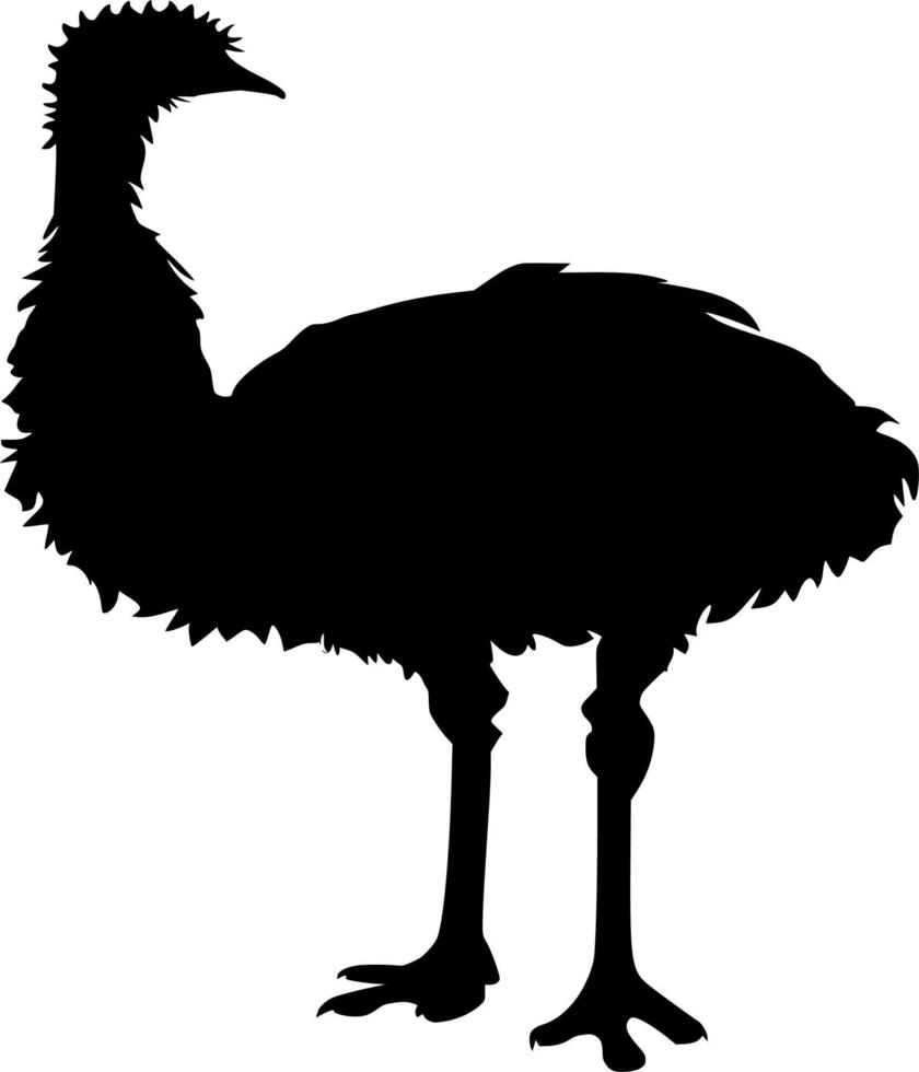 Vector silhouette of Bird on white background