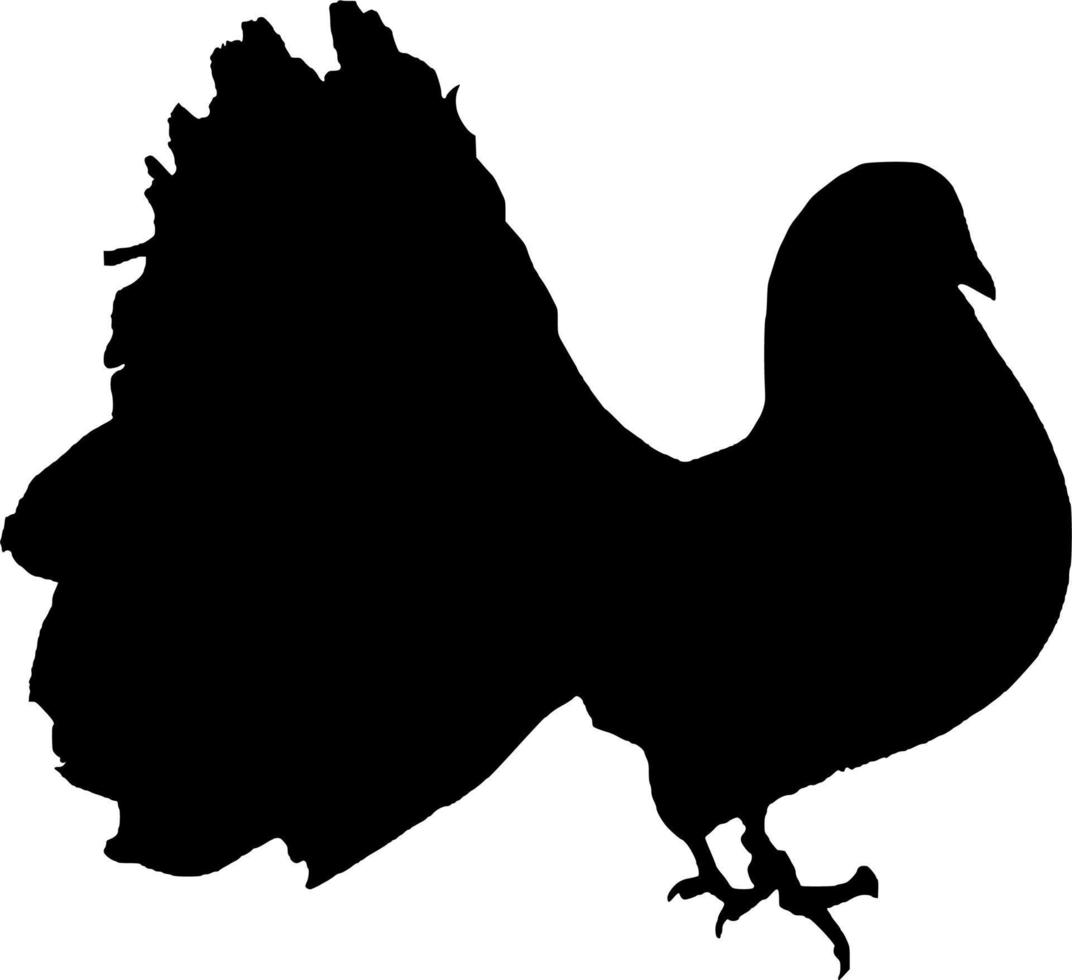 Vector silhouette of Bird on white background