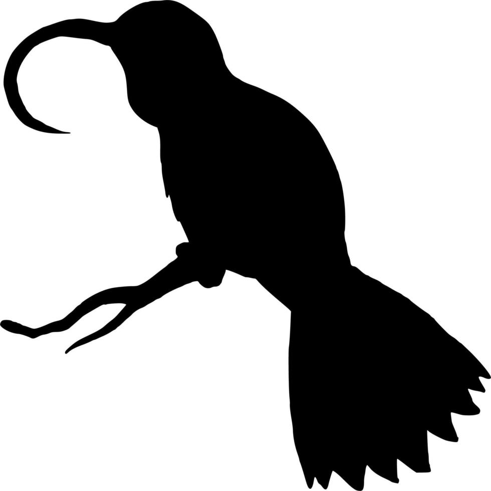 Vector silhouette of Bird on white background