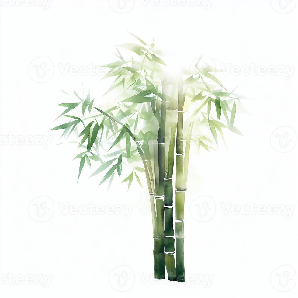 Watercolor style painting with high detail on a white background. Water color bamboo with green leaves. traditional Chinese painting. photo