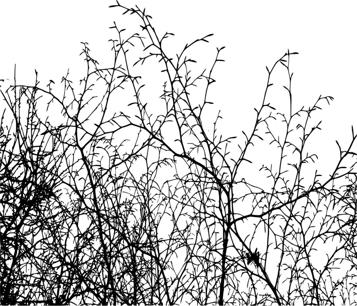 Vector silhouette of Tree on white background