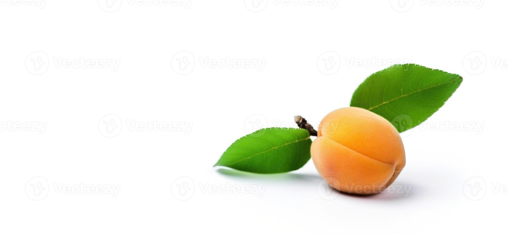 Isolated ripe fresh apricot with leaf on white background. Header banner mockup with space. . photo