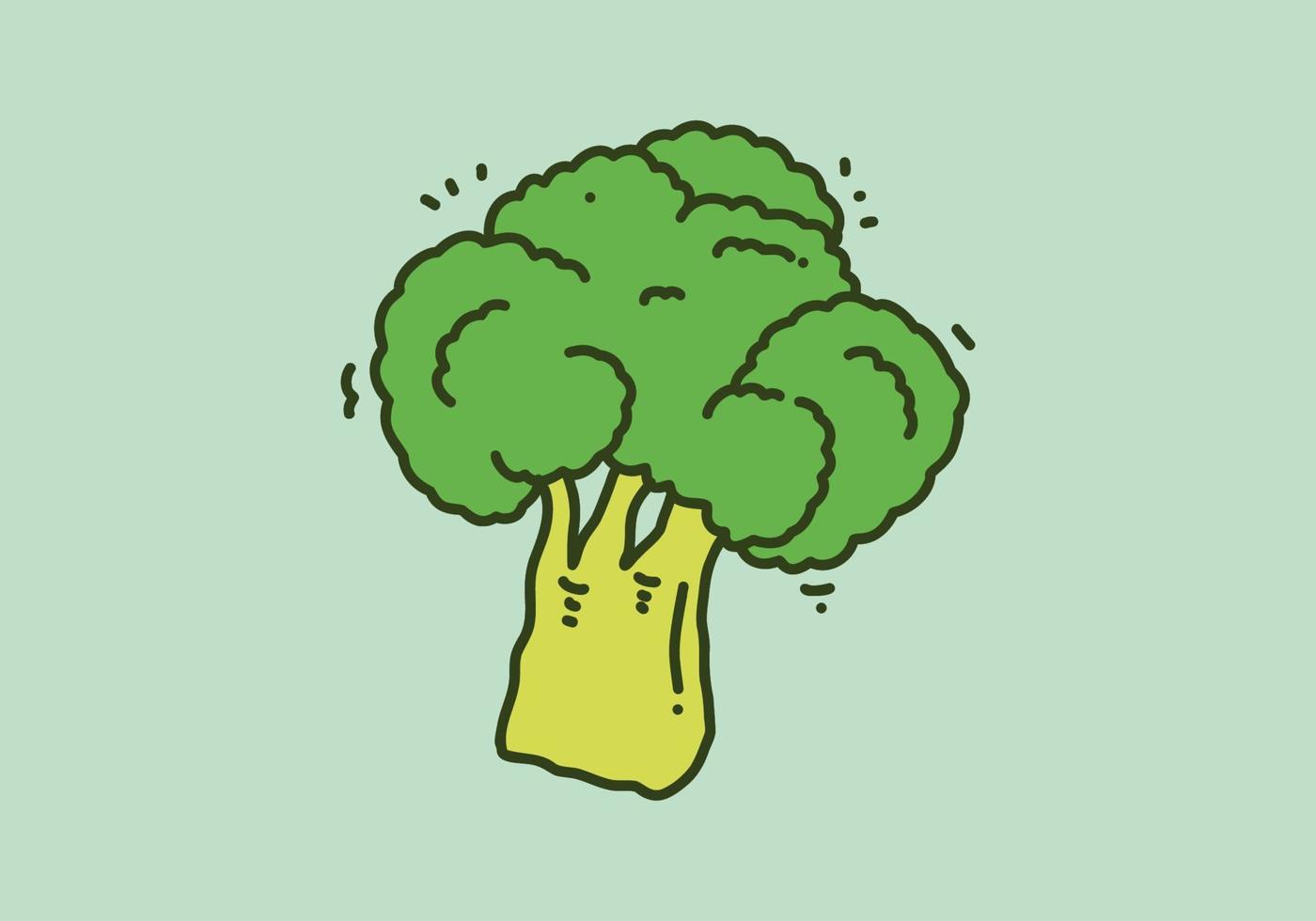 Green color design of the broccoli vector