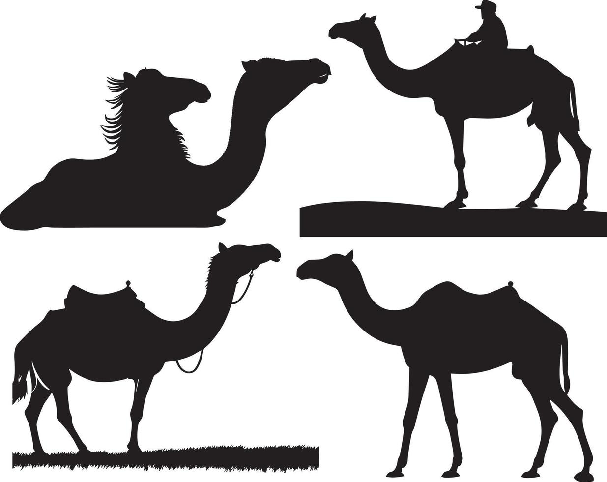 Camel Silhouette Vector, Camel Isolated On White Background vector