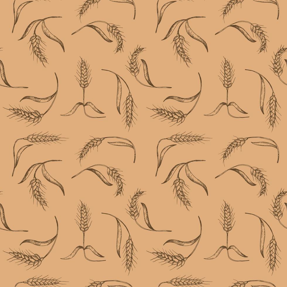Seamless repeating pattern with ears of wheat, spelt on a beige background. Floral ornament with an ear of wheat. Grain harvest. Hand drawn. Background vector illustration
