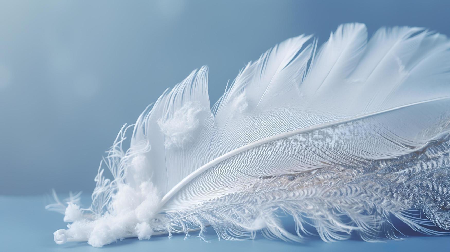 a bright blue background with one white feather, in the style of soft and dreamy pastels, glimmering light effects, nature inspired imagery, fairycore, soft focal points, generate ai photo