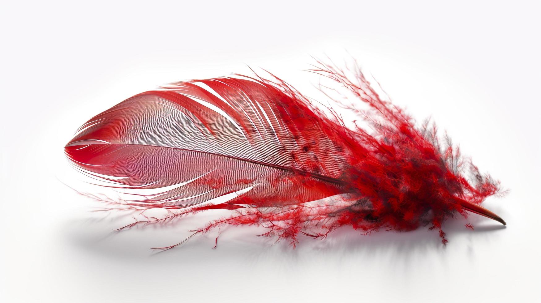 an old red feather which is drawn on a white background, in the style of light red and light pink, sketchfab, -translucent medium, bold colours, generat ai photo