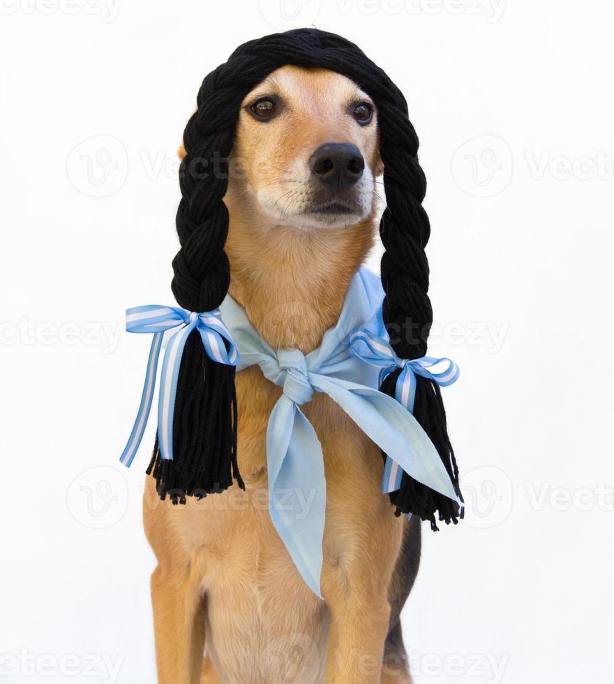 Dog with black braids, dressed in China, from the Argentine countryside. photo