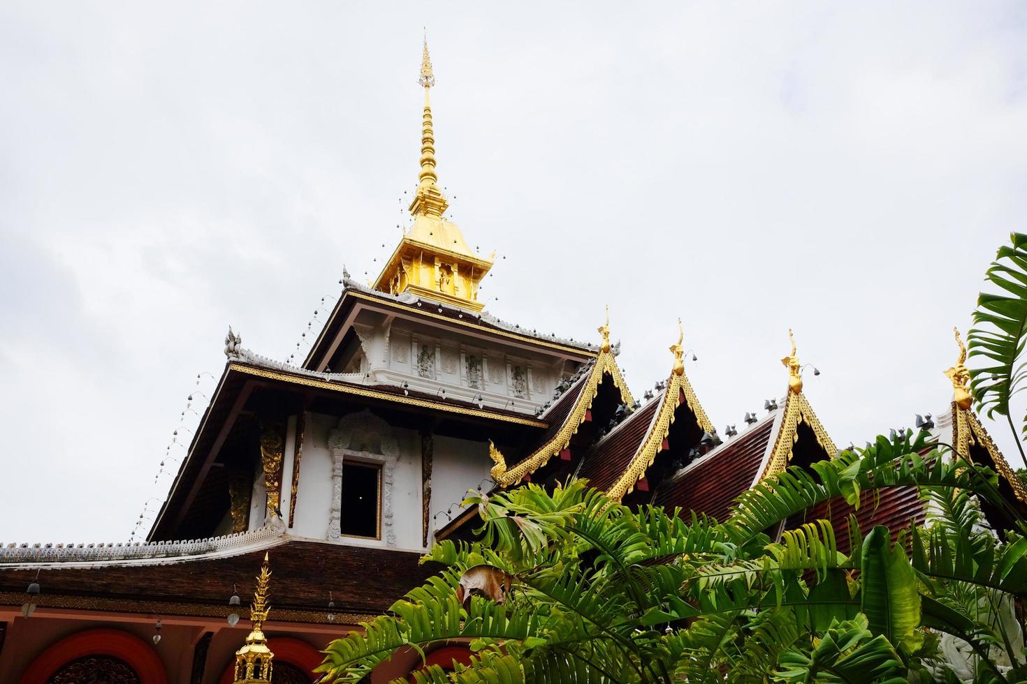 Heritage Golden and white sanctuary and chapel in the temple of lanna style at Chiangmai province, Thailand photo