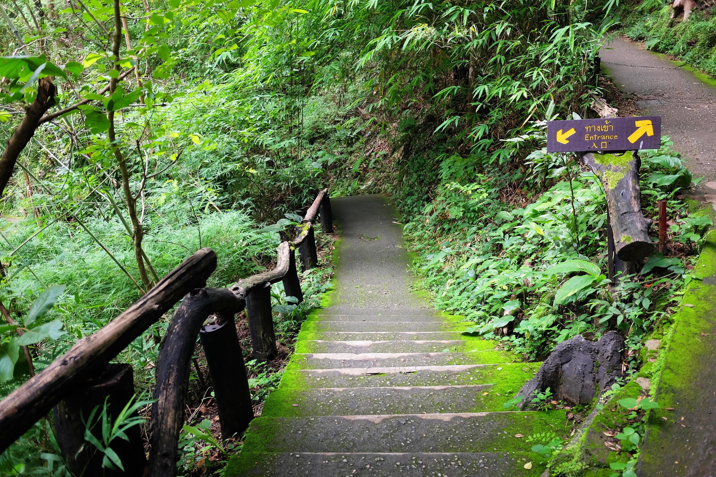 Entrance word in Thai, Chinese and English language in wooden label and