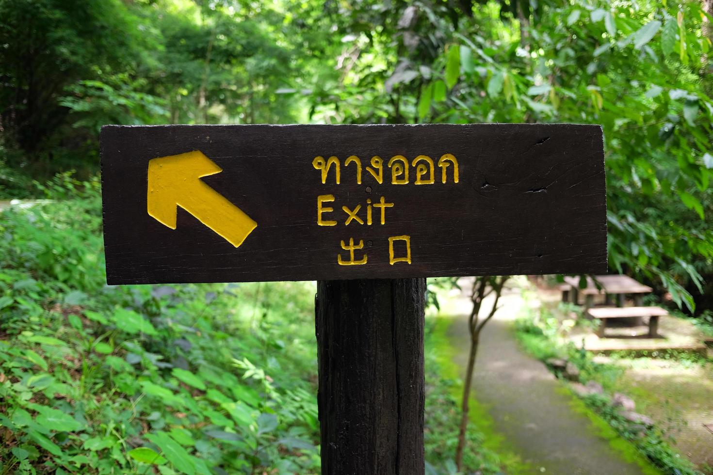 Exit Wooden label in National forest there are three languages is Thai, English and Chinese alphabets for foreign tourists in Thailand photo