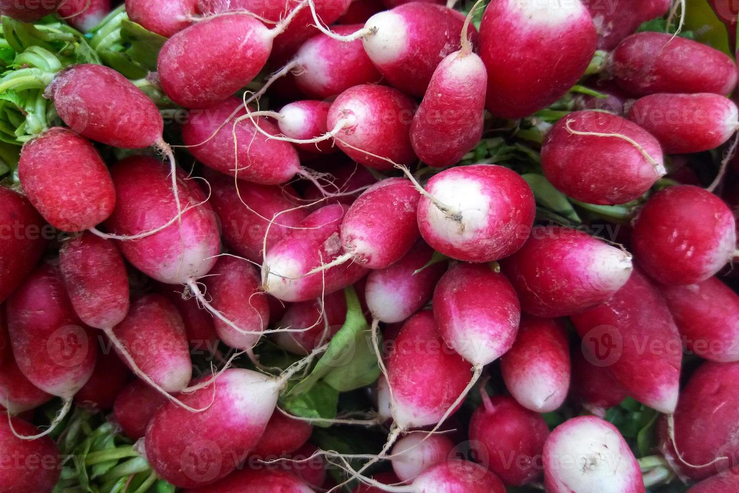 Stack of radishes on a market stall photo