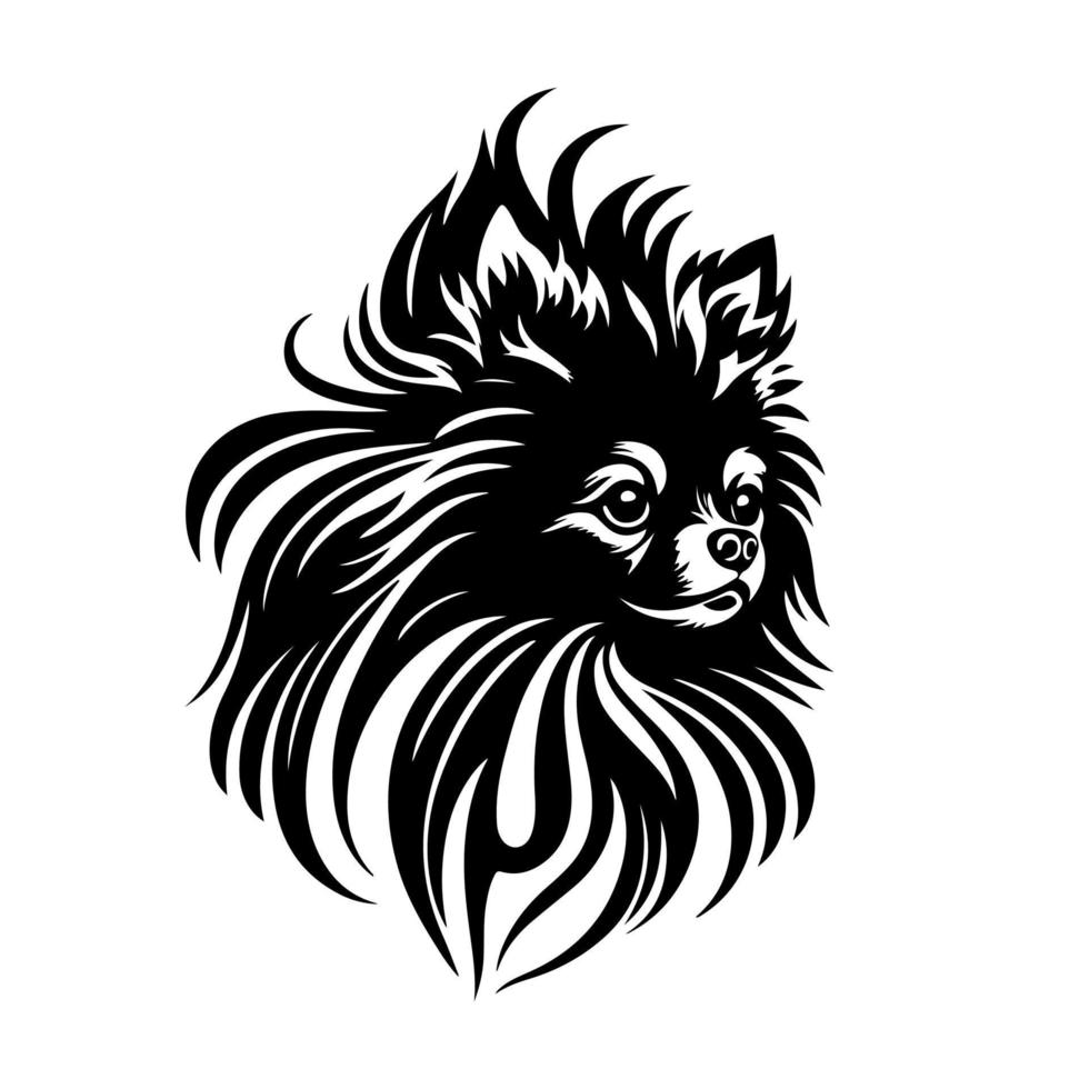 estilizado pomeranio perro cabeza, negro y blanco vector ilustración aislado en blanco. ideal para relacionado con mascotas diseños, logotipos, y marca.