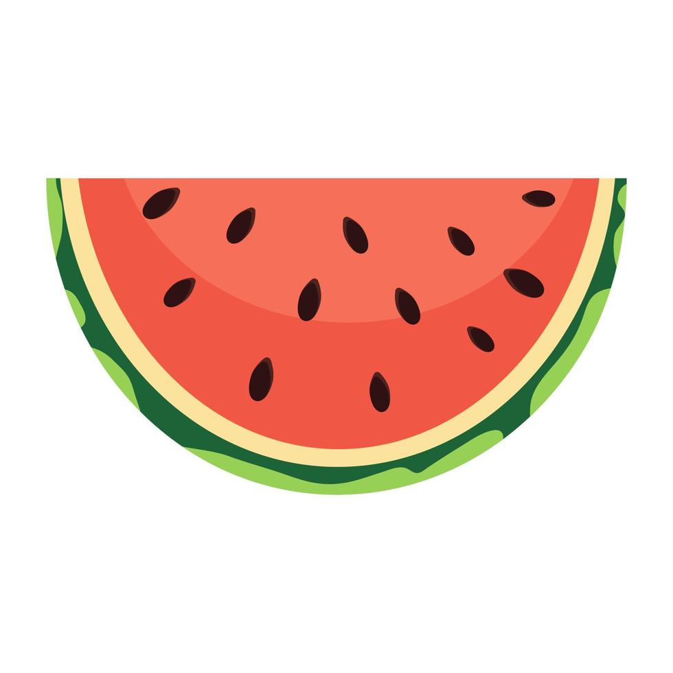 Watermelon on white background, vector illustration