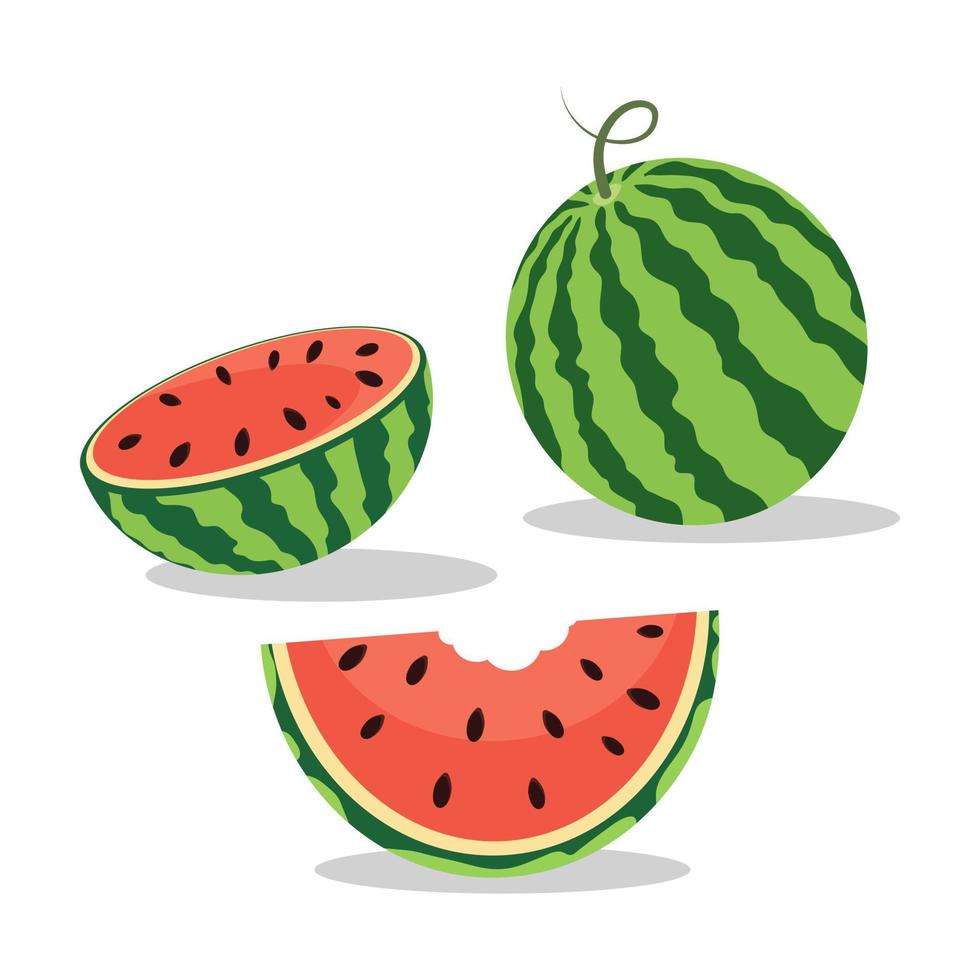 Watermelon on white background, vector illustration