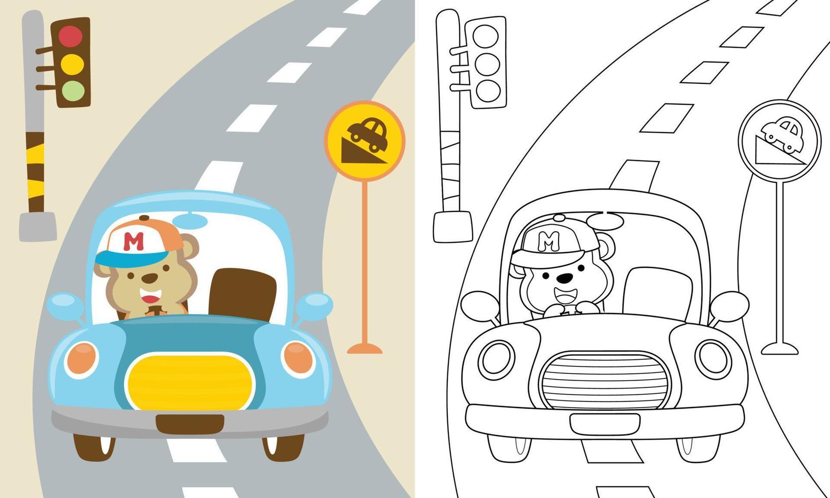 Vector cartoon of funny monkey driving car in the road, coloring book or page