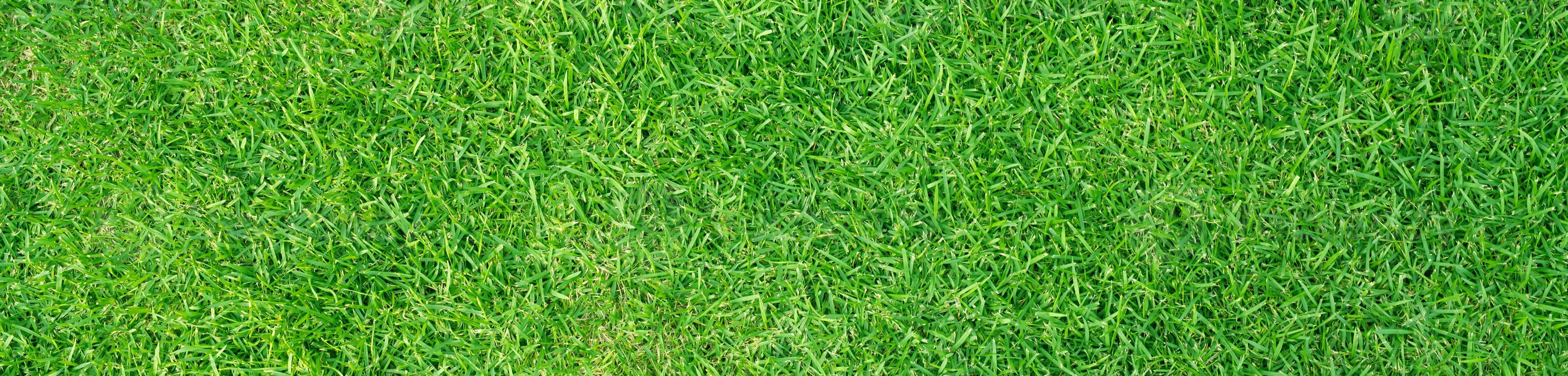 Artificial grass field meadow green. Top View Texture. photo