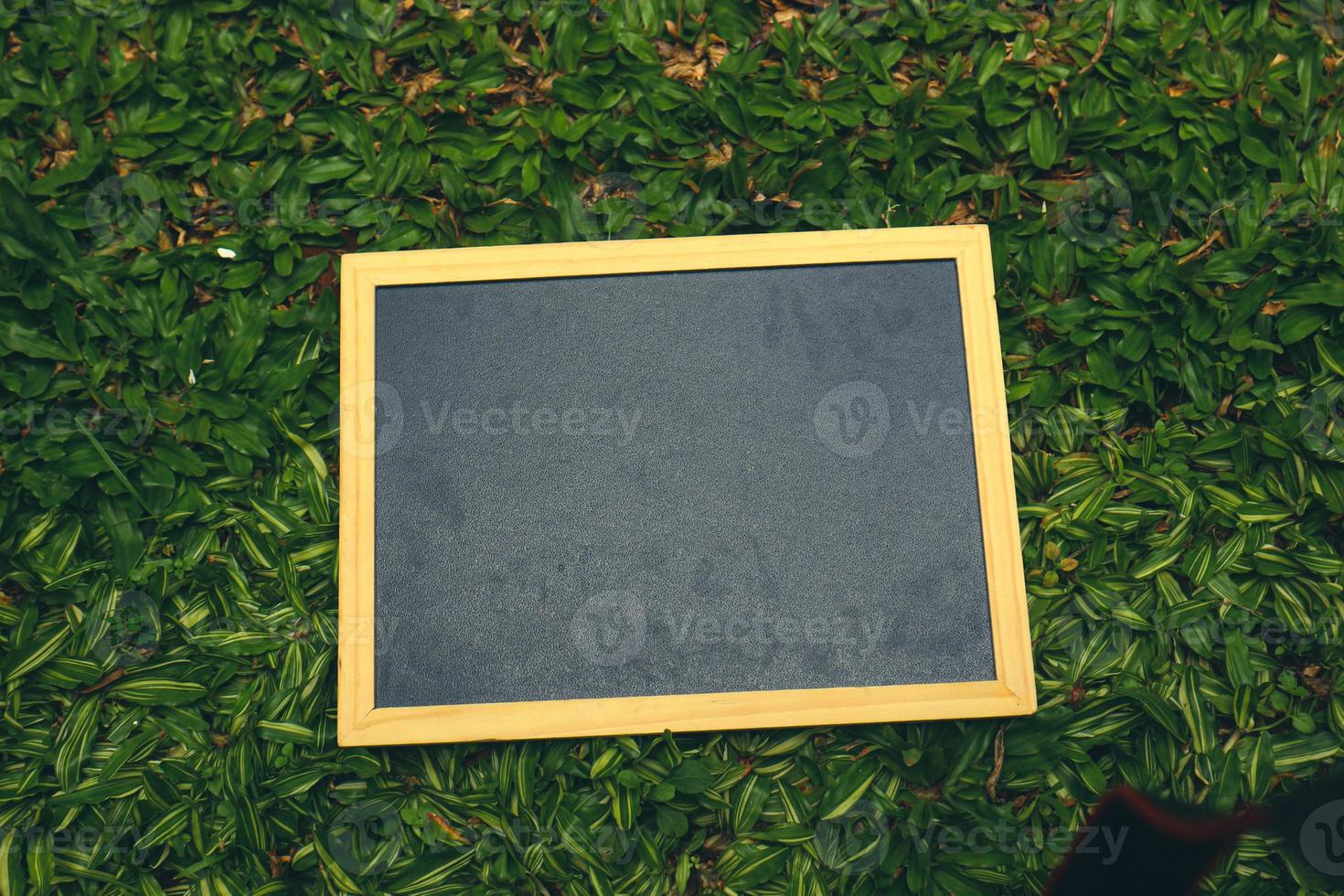 A small black blackboard with a wooden frame sits on the green grass. photo