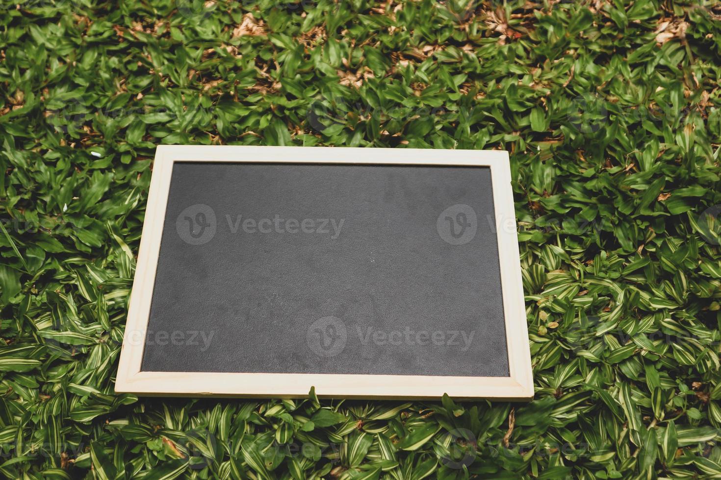 A small black blackboard with a wooden frame sits on the green grass. photo