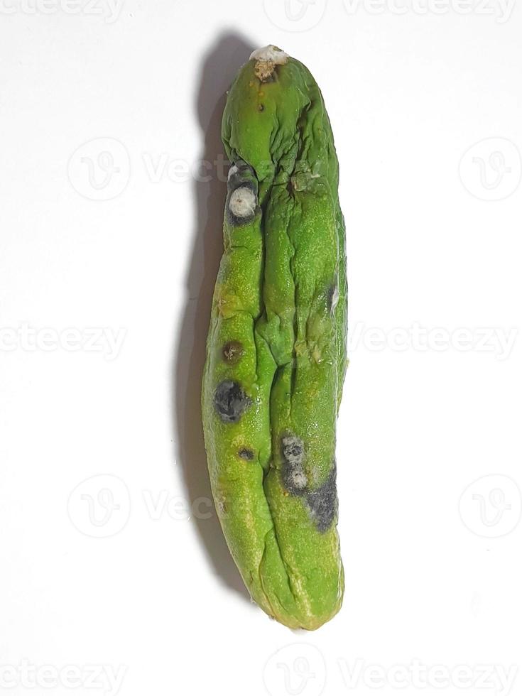 Isolated white photo of a cucumber that has shrunk, started to rot and has mold.