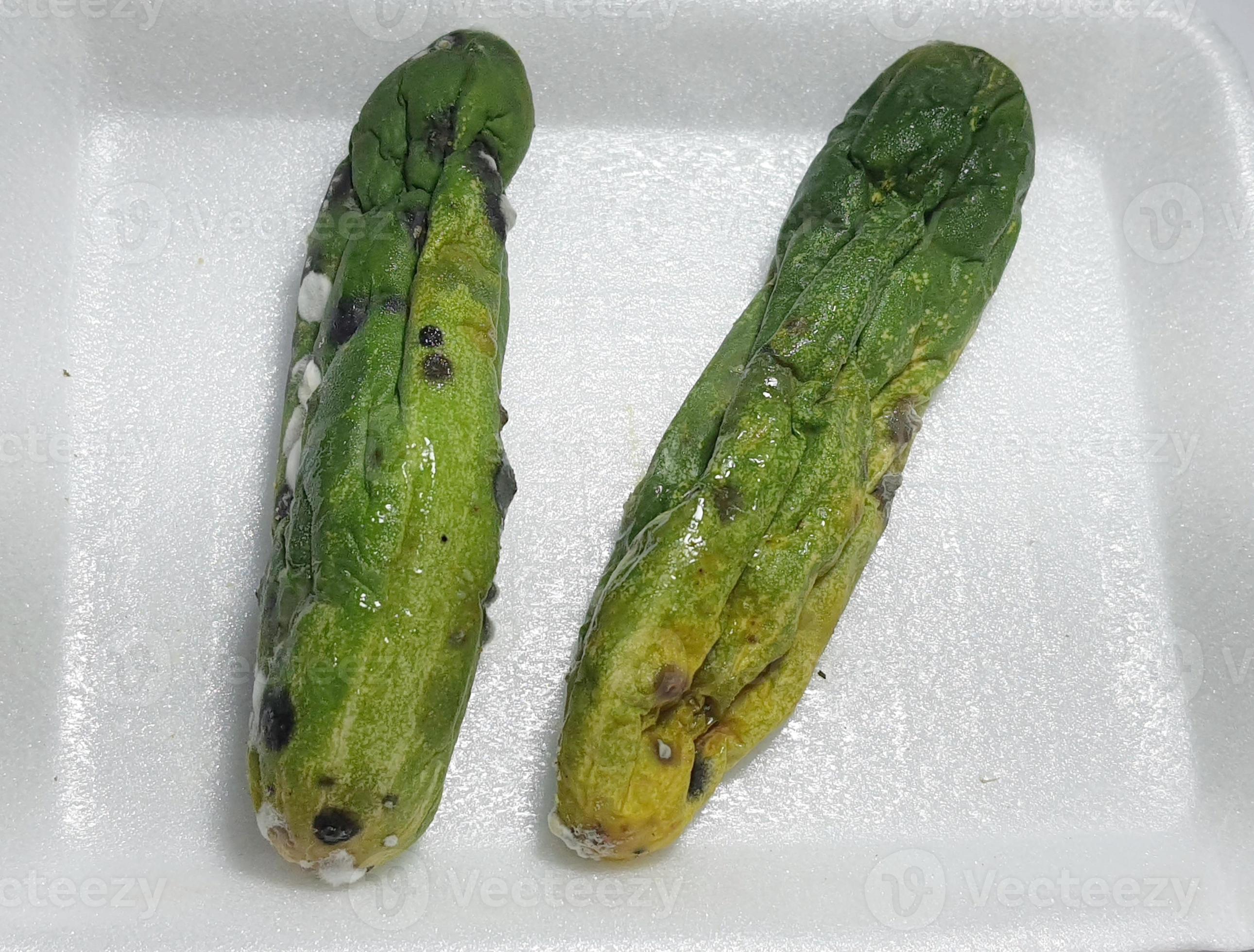 Isolated white photo of a cucumber that has shrunk, started to rot and
