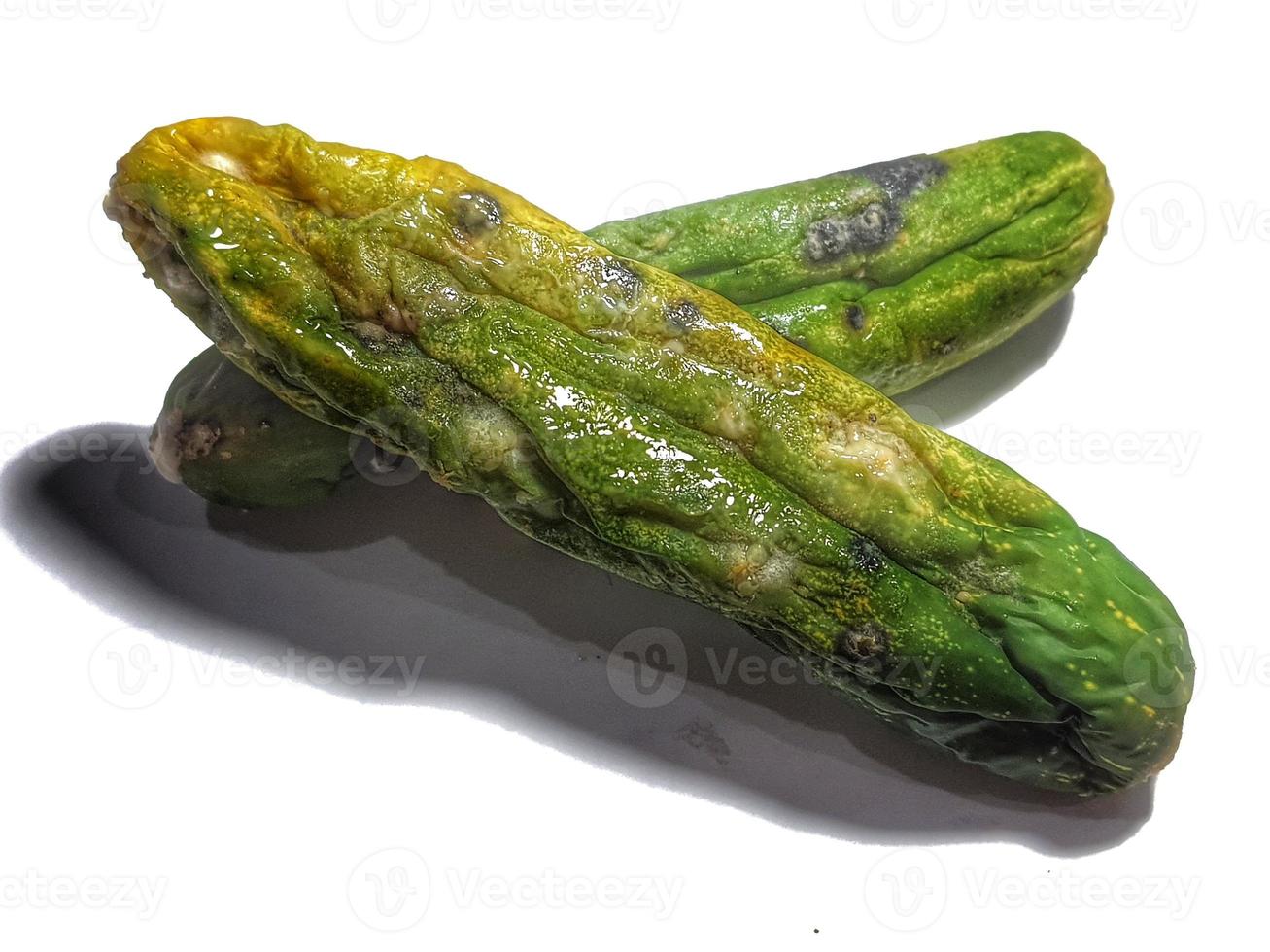 Isolated white photo of a cucumber that has shrunk, started to rot and has mold.