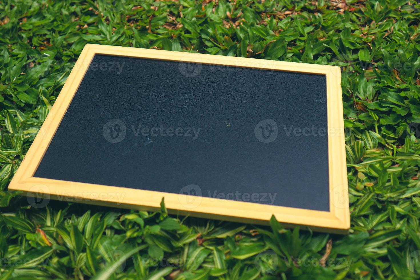 A small black blackboard with a wooden frame sits on the green grass. photo