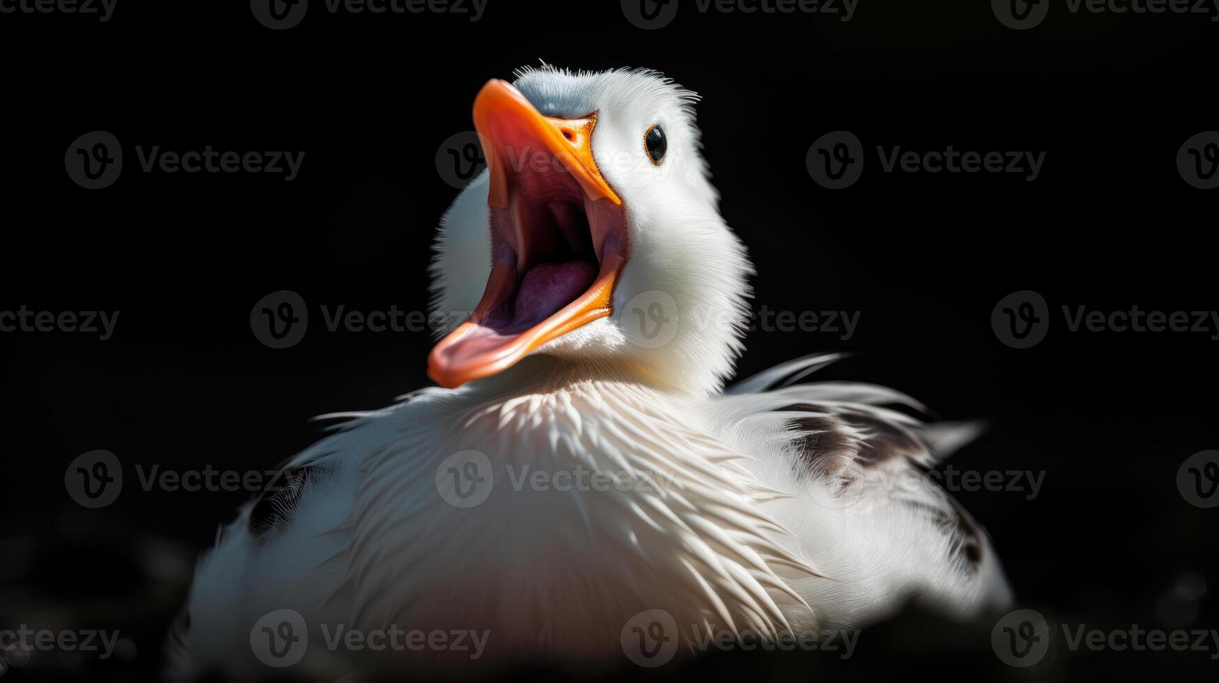 gritando gracioso Pato en negro antecedentes generativo ai foto