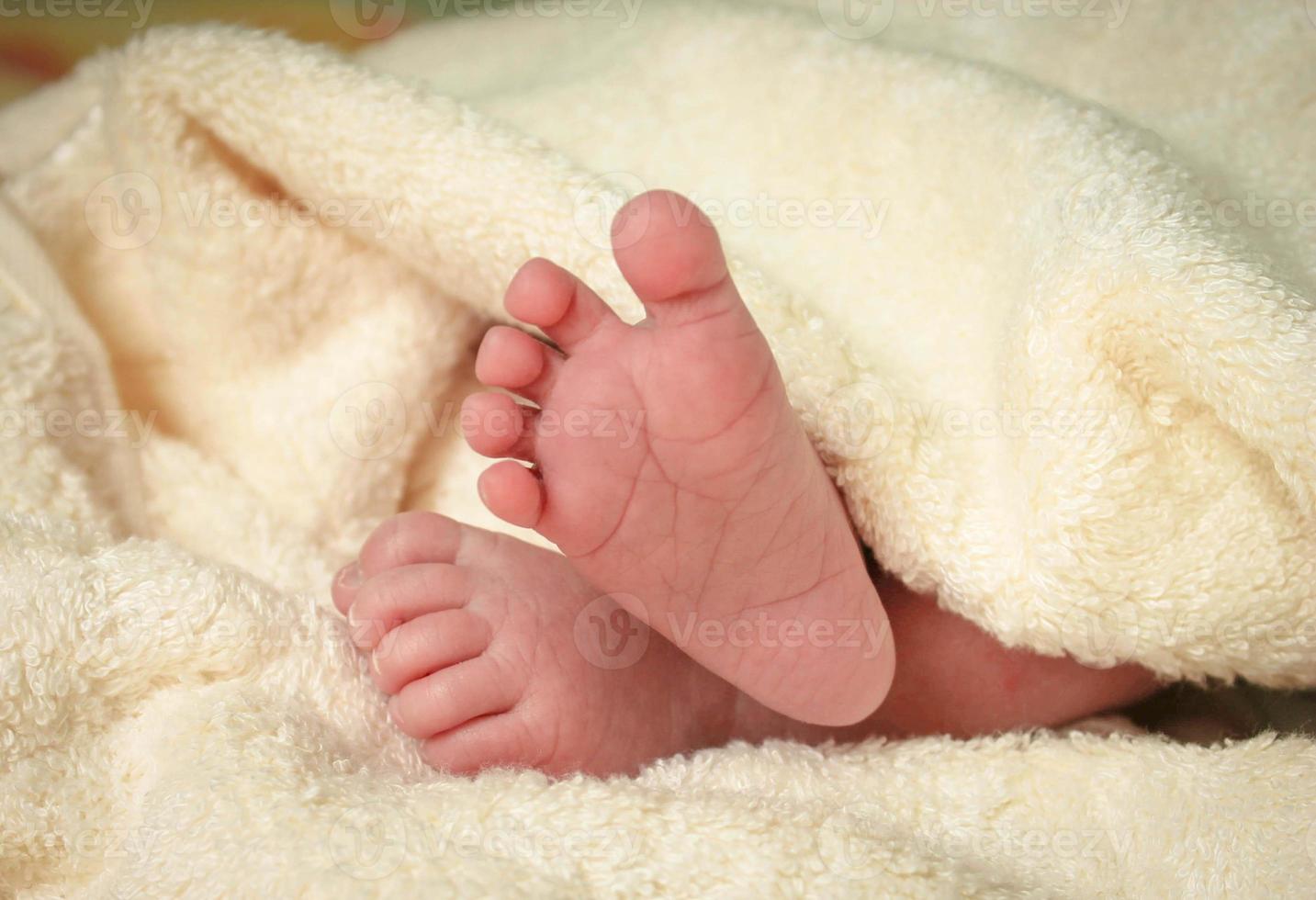 Feet newborn baby photo