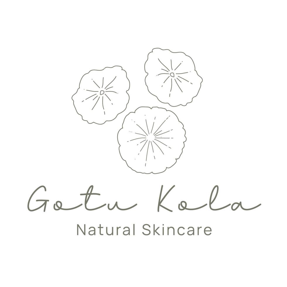 Gotu kola Skincare Logo vector