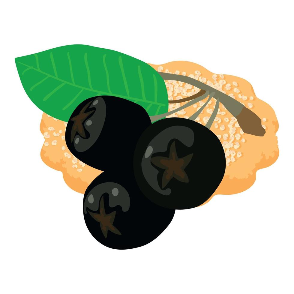 Chokeberry dessert icon isometric vector. Fresh ripe chokeberry and fruit cookie vector