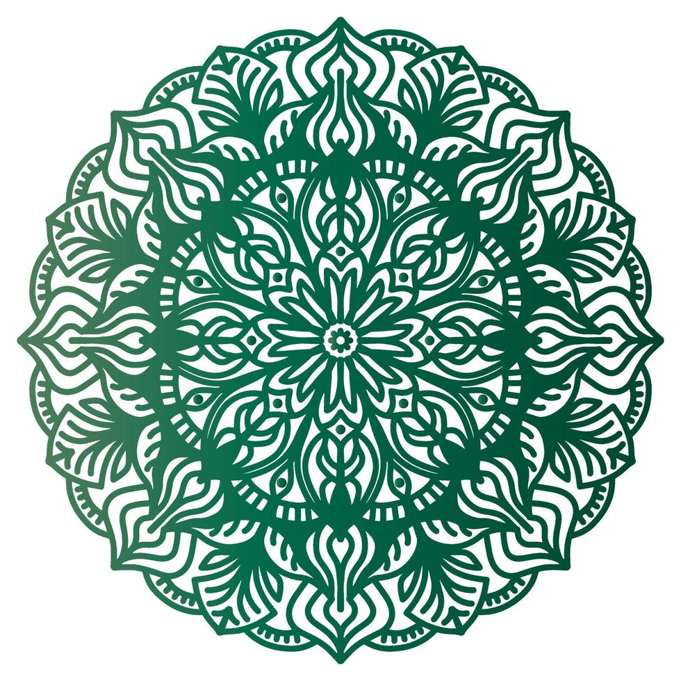 Mandala pattern abstract floral ornament vector