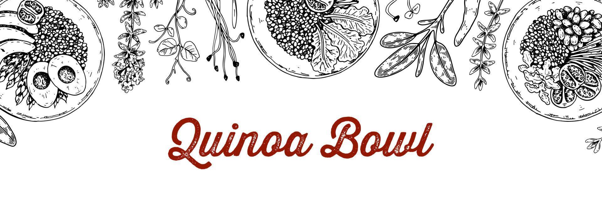 Quinoa bowl background. Hand drawn vector illustration in sketch style. Restaurant menu design