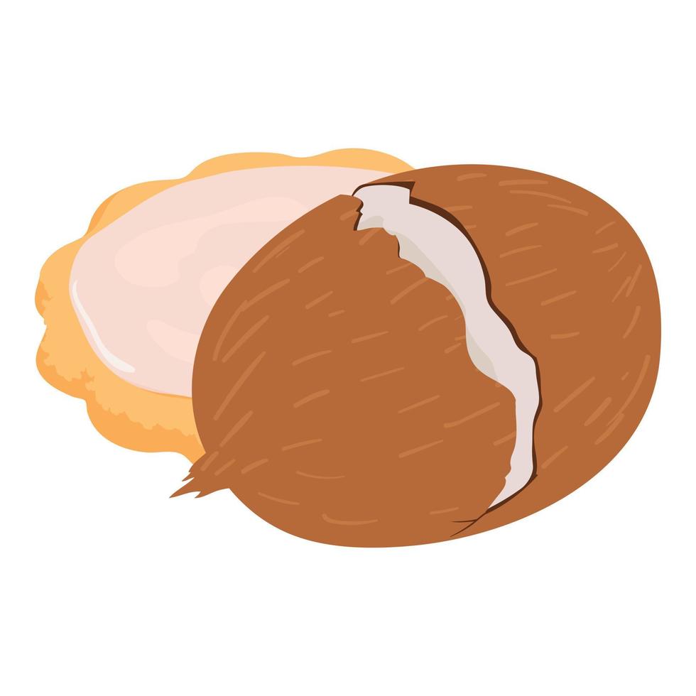 Coconut cookie icon isometric vector. Homemade shortbread cookie and big coconut vector