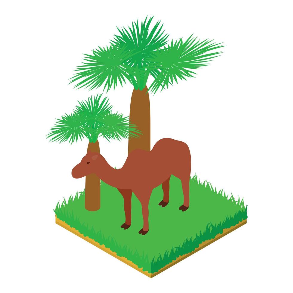 Camel animal icon isometric vector. Arabian camel standing in green grass icon vector