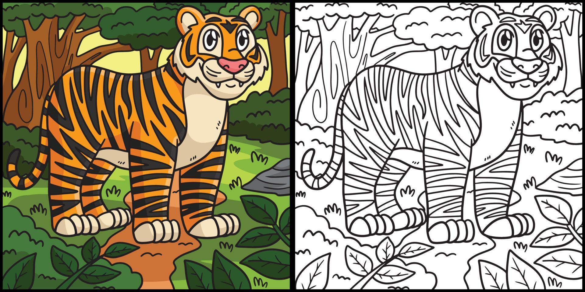 Tiger Coloring Page Colored Illustration vector