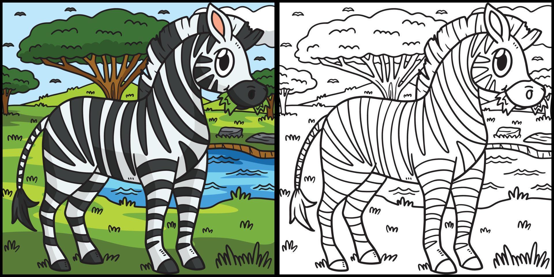 Zebra Coloring Page Colored Illustration vector