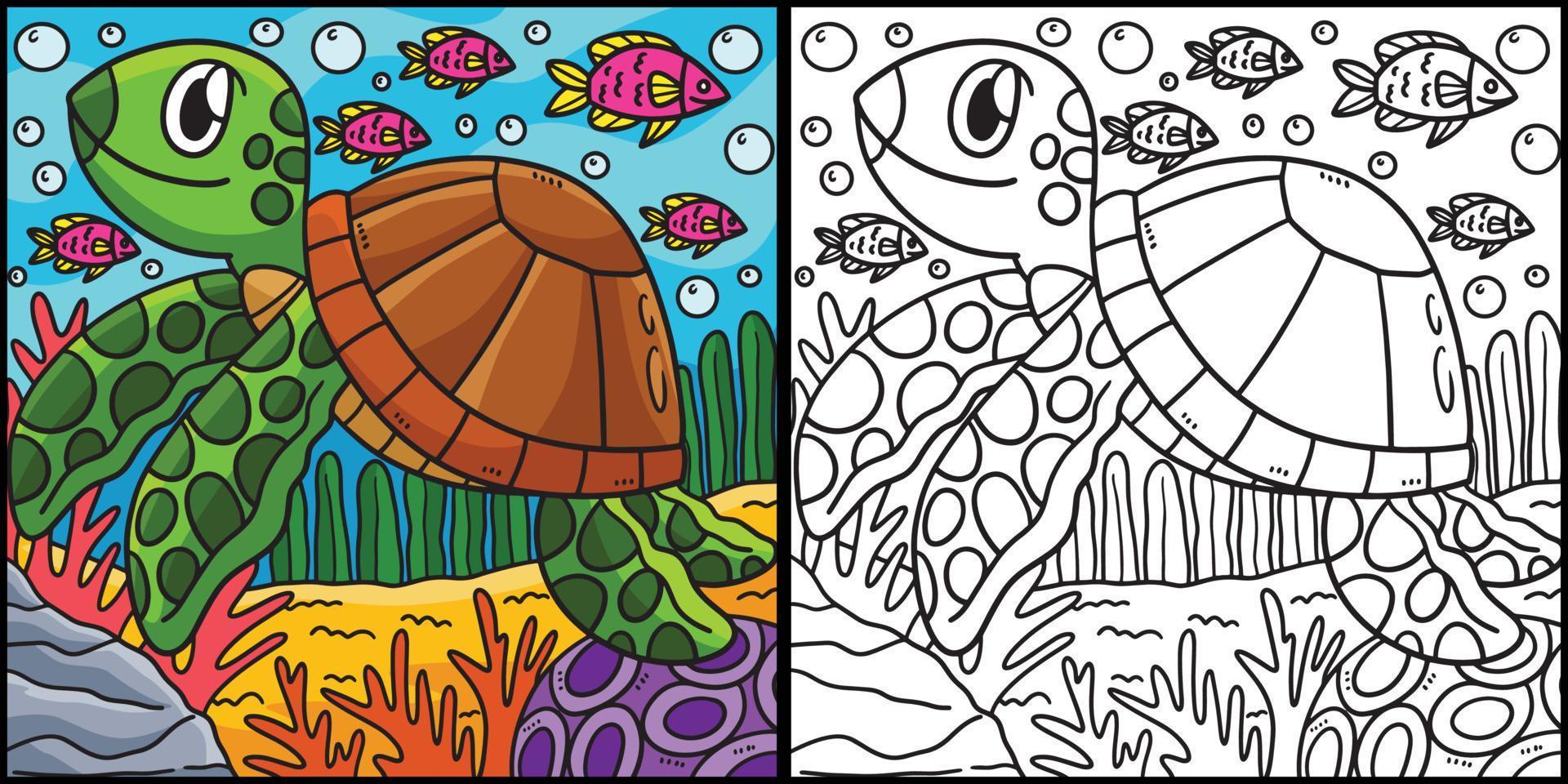 Turtle Coloring Page Colored Illustration vector