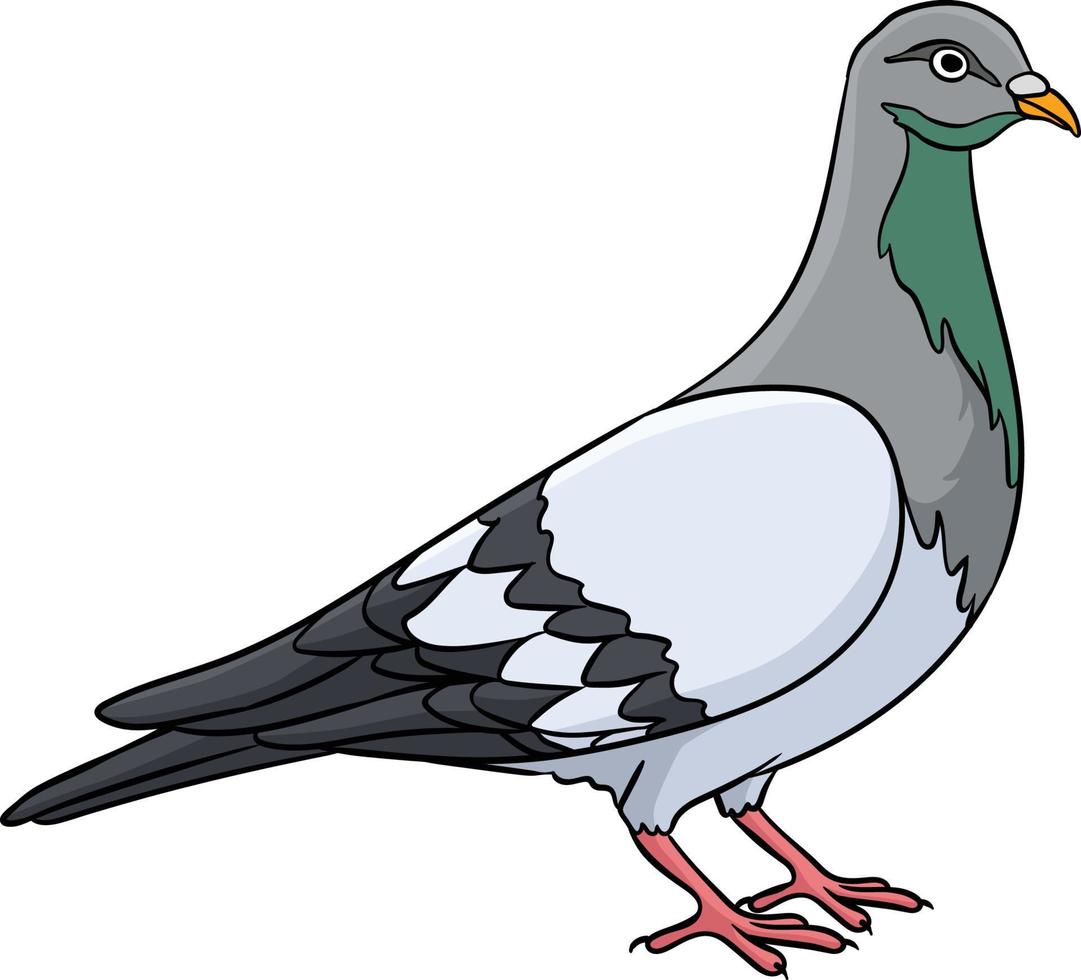 Pigeon Cartoon Colored Clipart Illustration vector