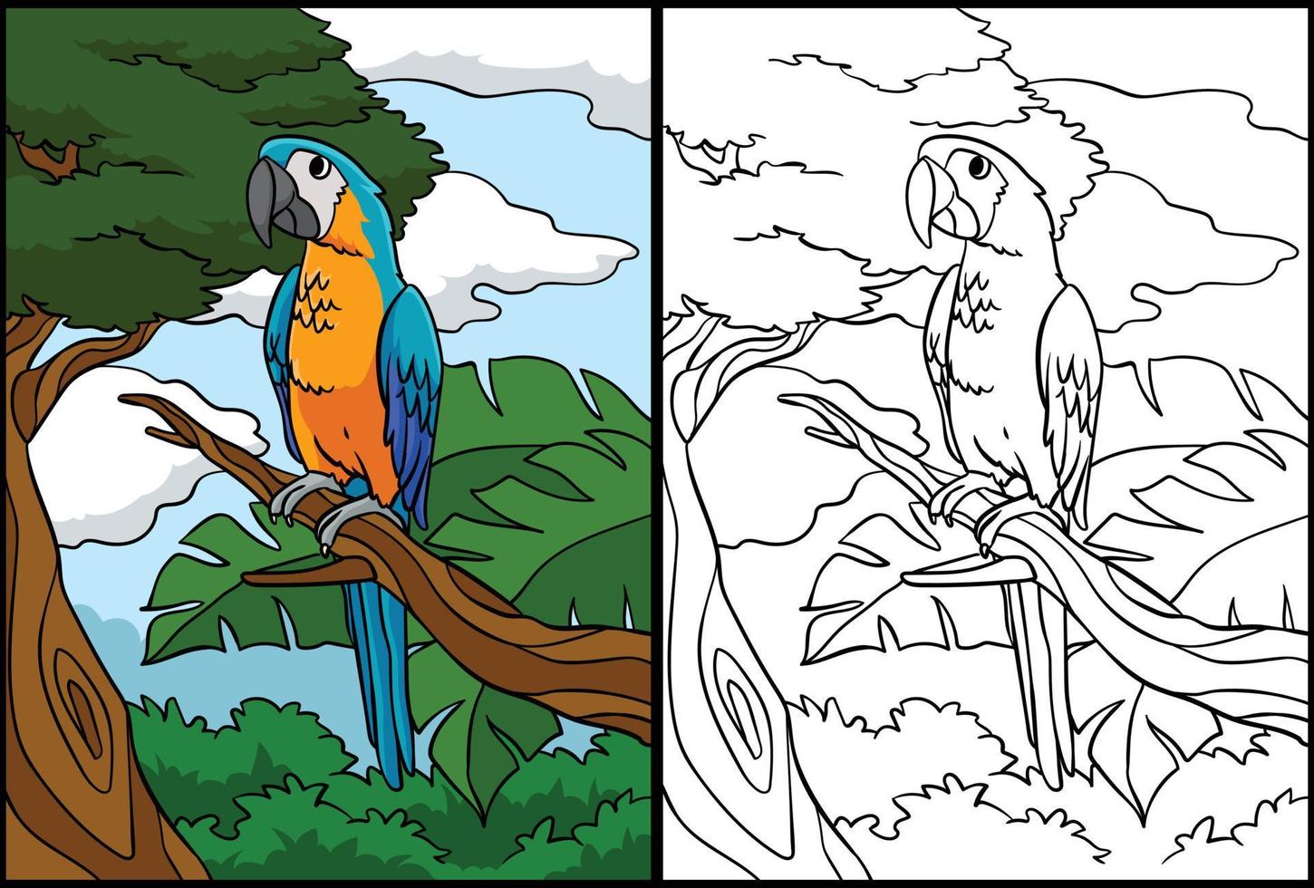 Parrot Coloring Page Colored Illustration vector