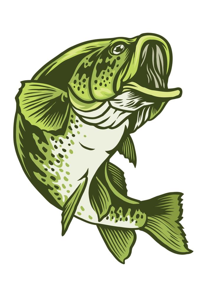 largemouth bass fish vector