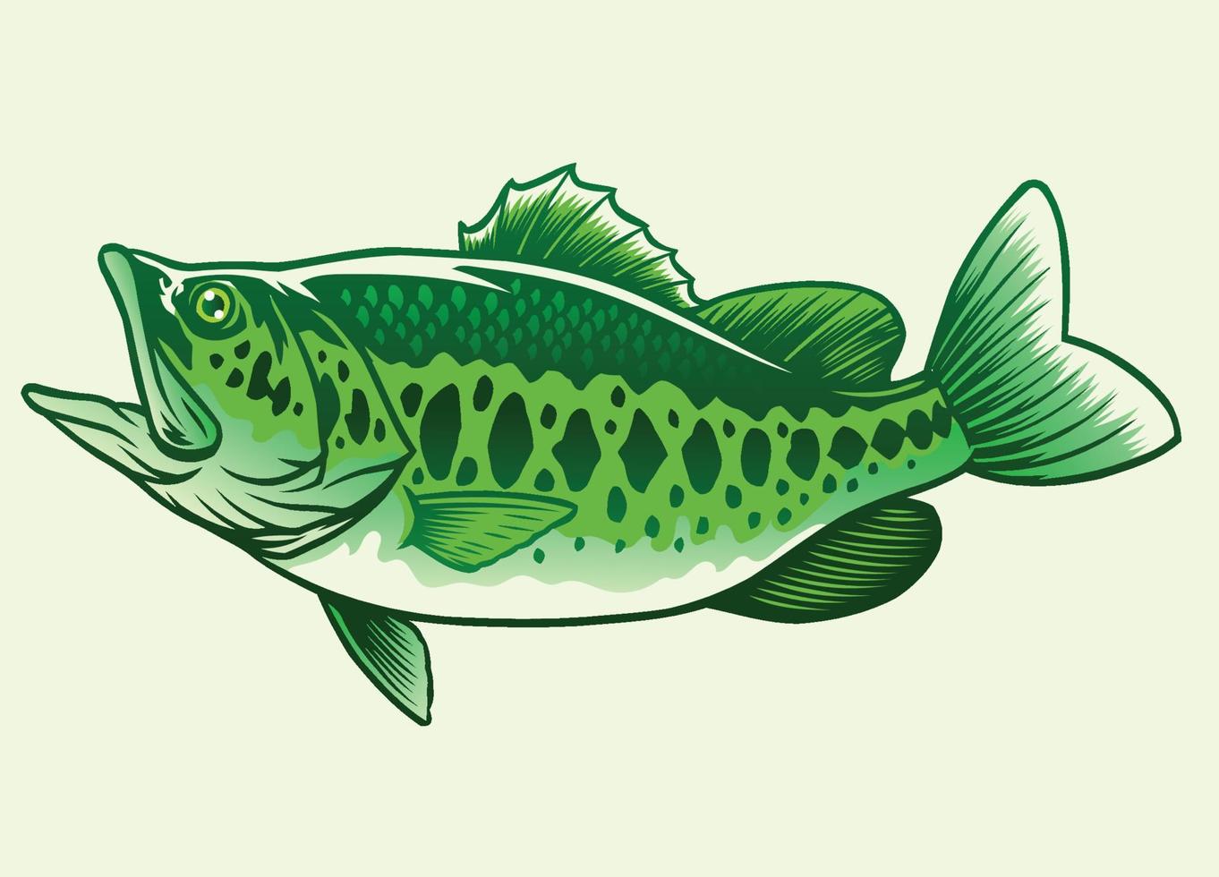 big bass green fish vector