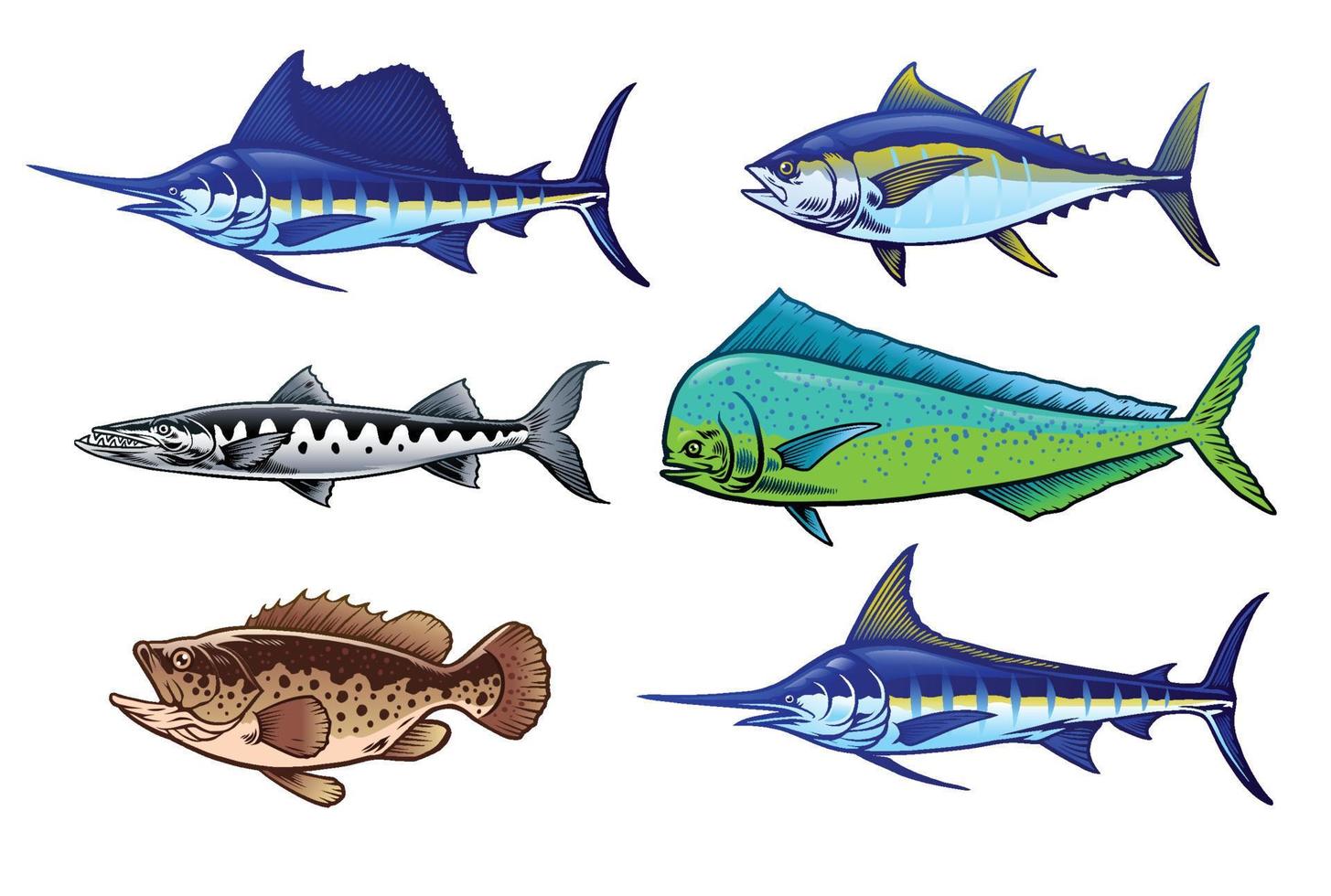 set  of saltwater game fish vector