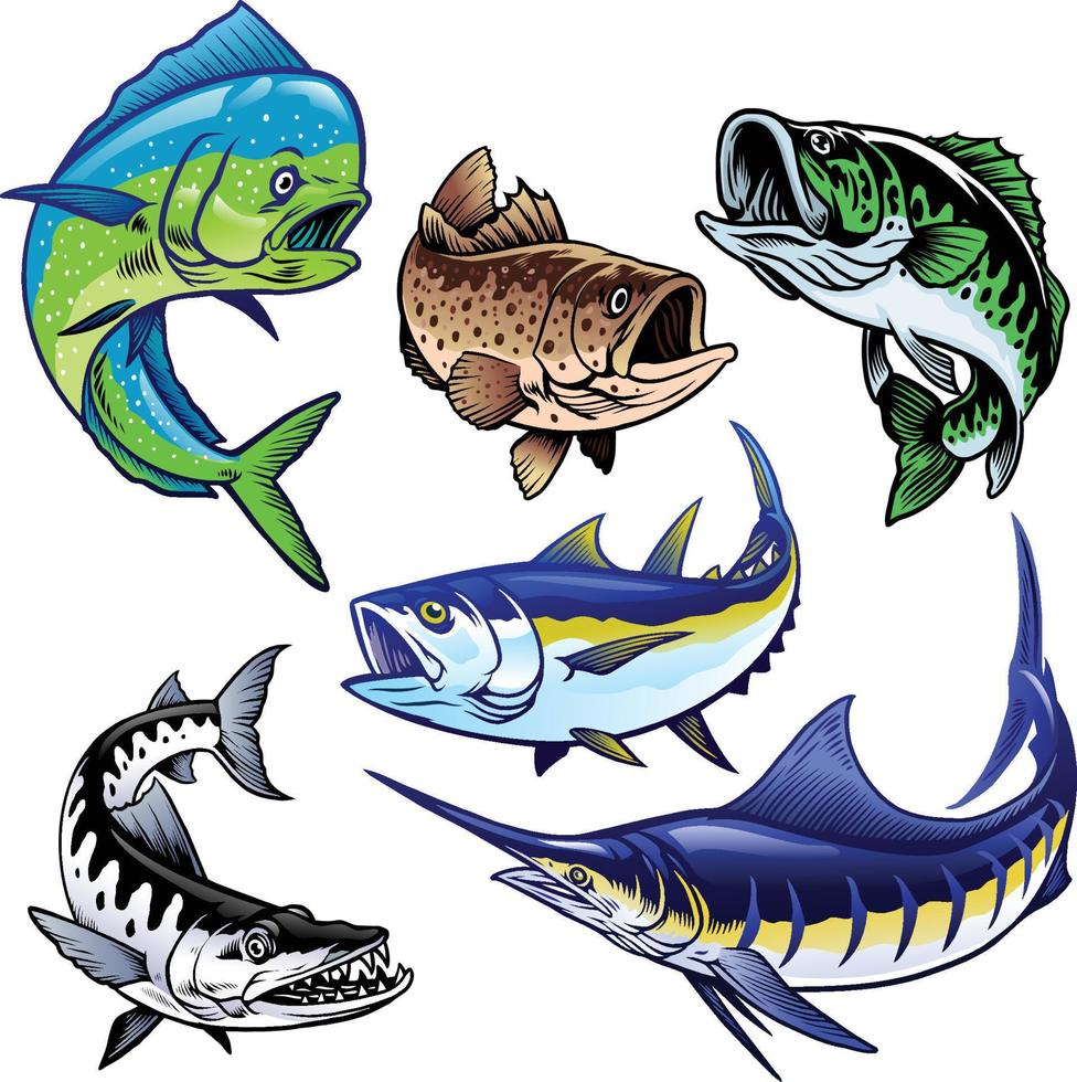 set of gamefish bundle collection vector