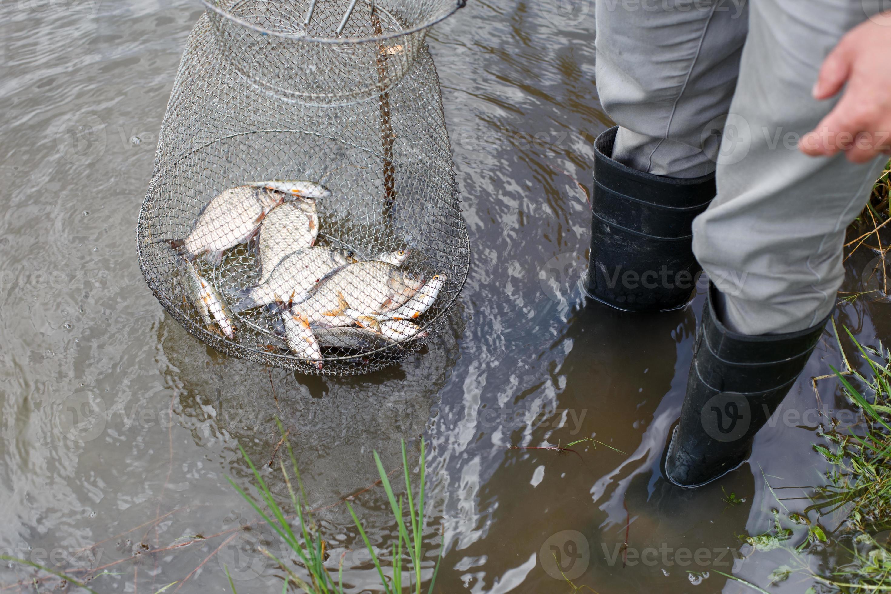 fisherman lifts a fish net. Metal mesh cage is installed in the