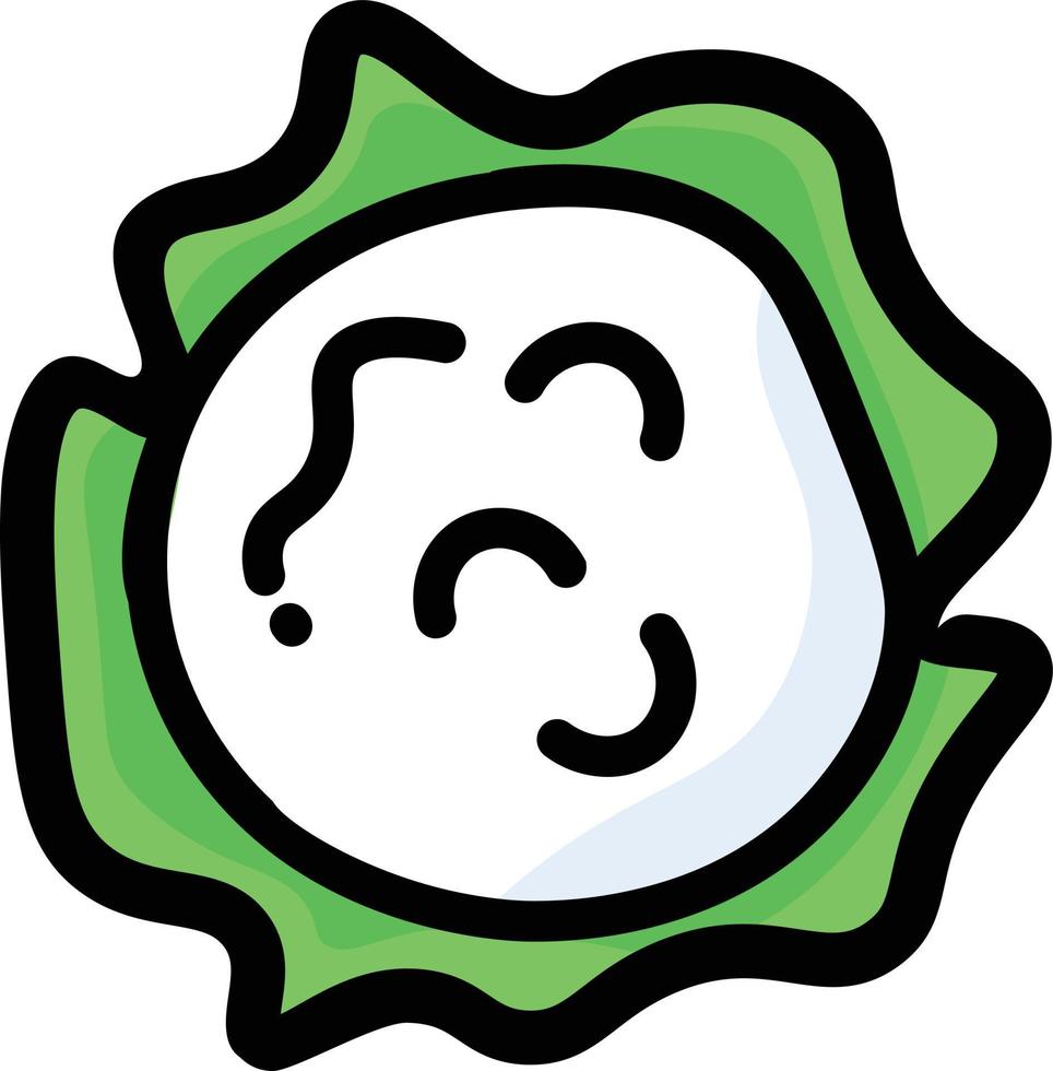 cauliflower Illustration Vector